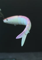 Flamingo - Swimbait